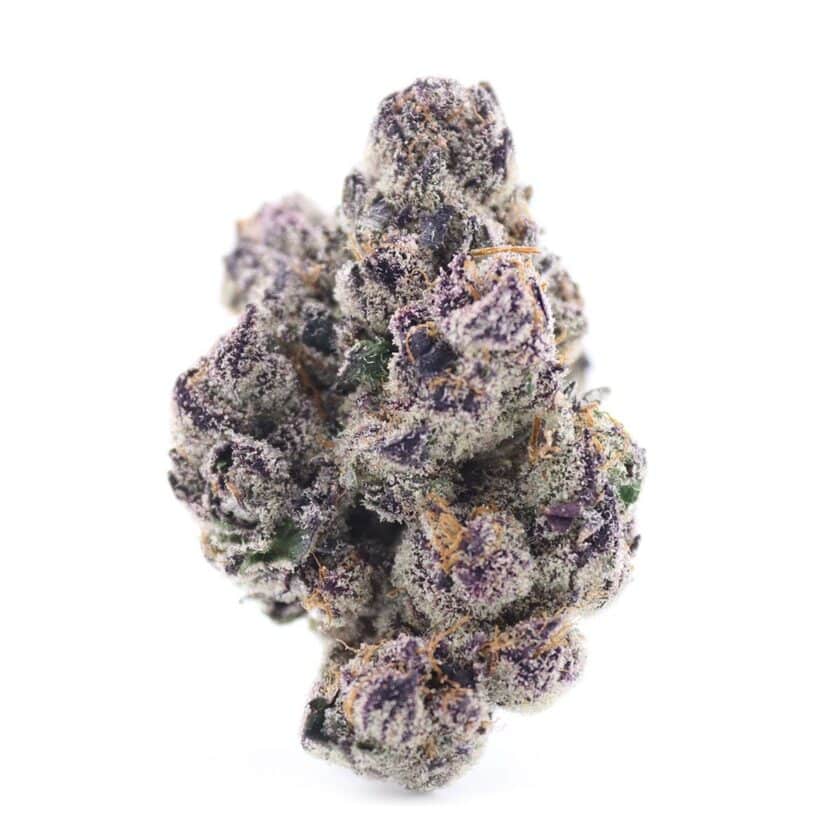 Purple Space Cookies Strain Canada