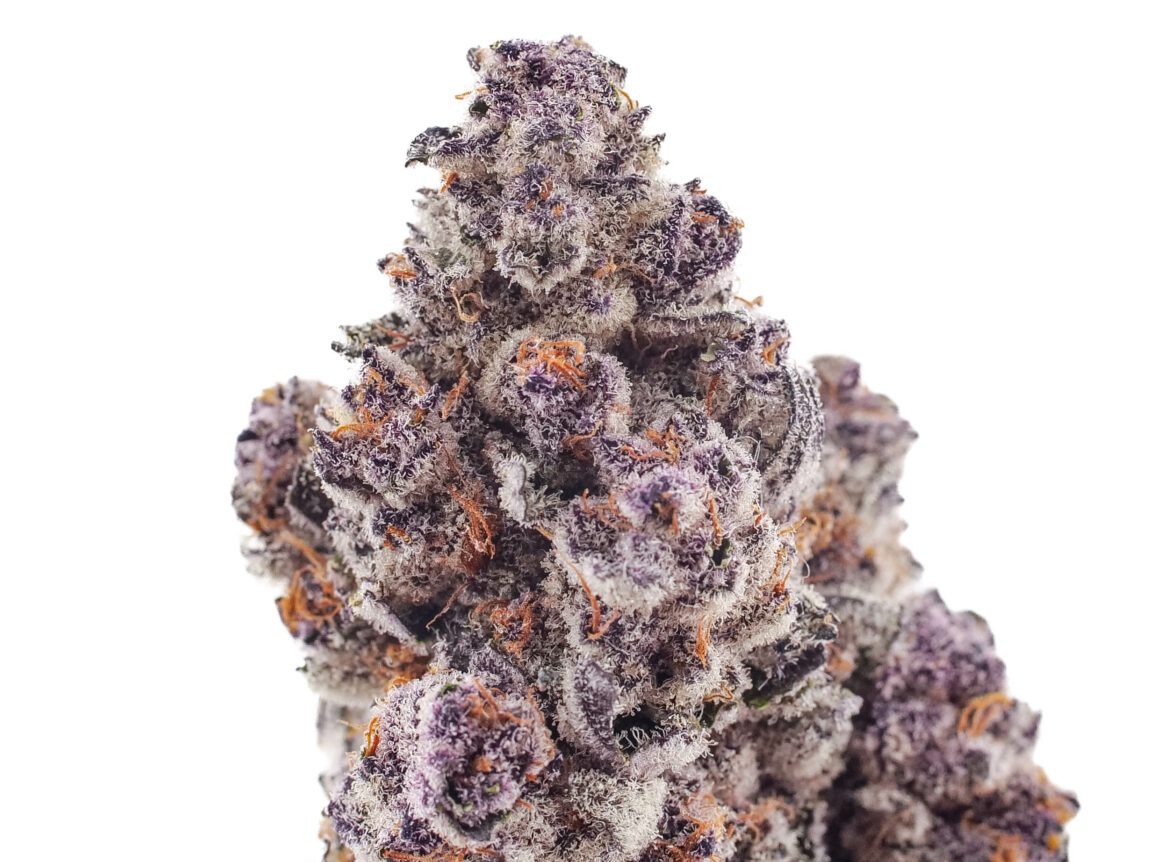 buy craft weed canada