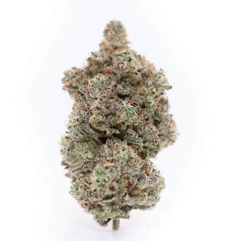 Alien Cake Weed Strain For Sale