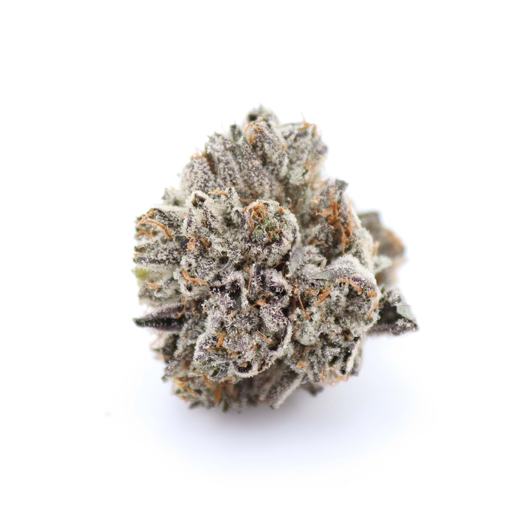Photographie source: El Jefe – Indica AAAA