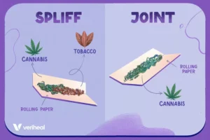 joint vs spliff: whats better?