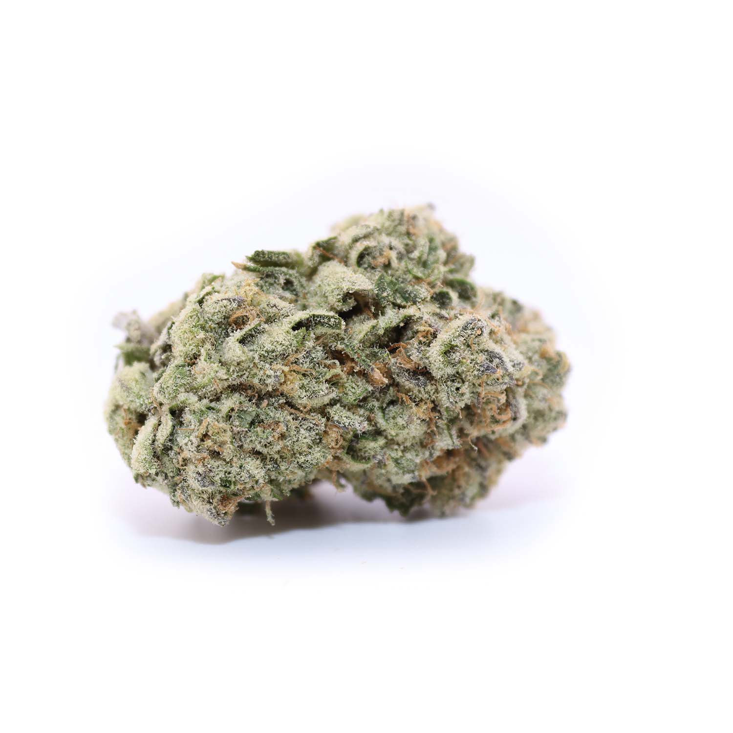 The Refresher AAA (Ethos Genetics)