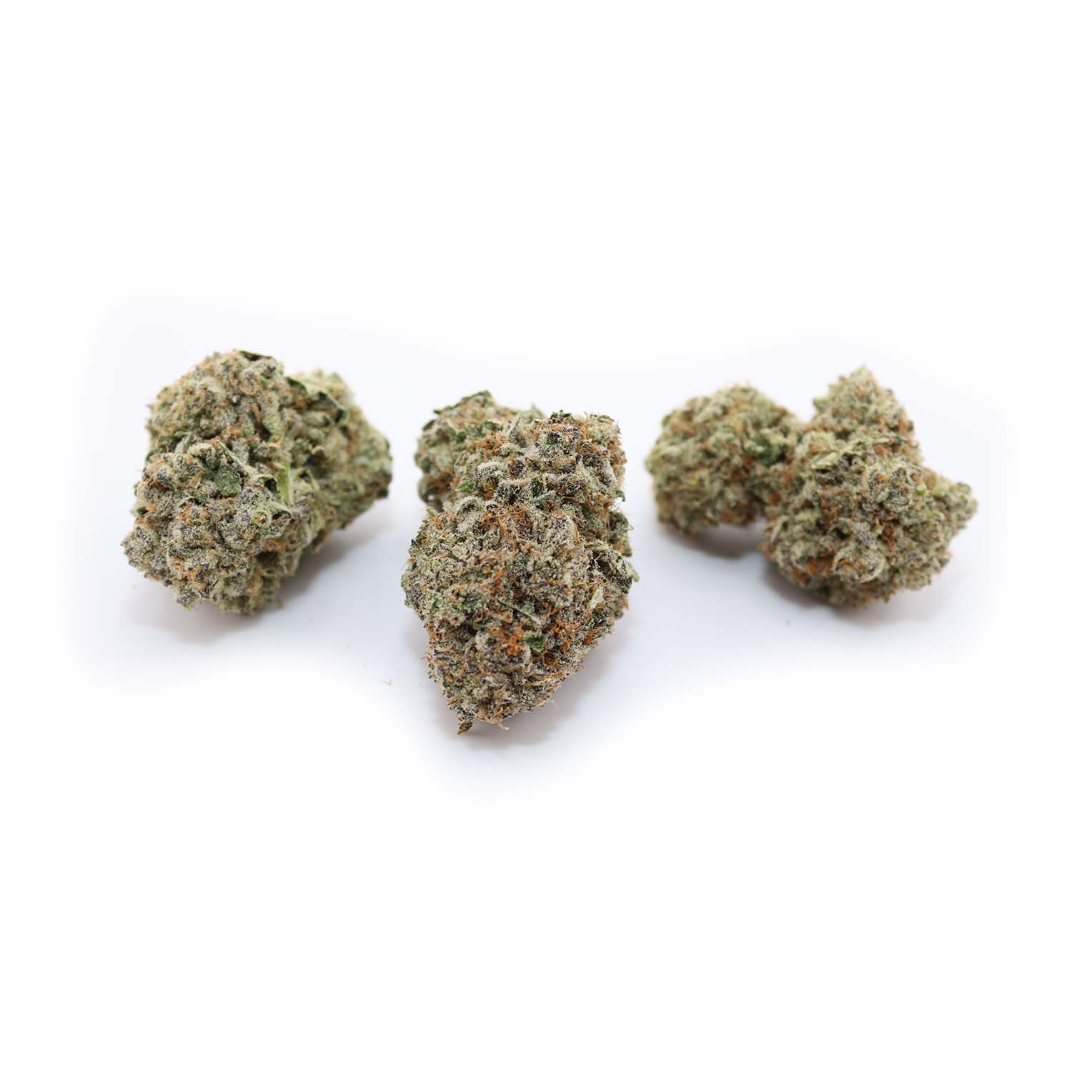 The Refresher AAA (Ethos Genetics) buy online