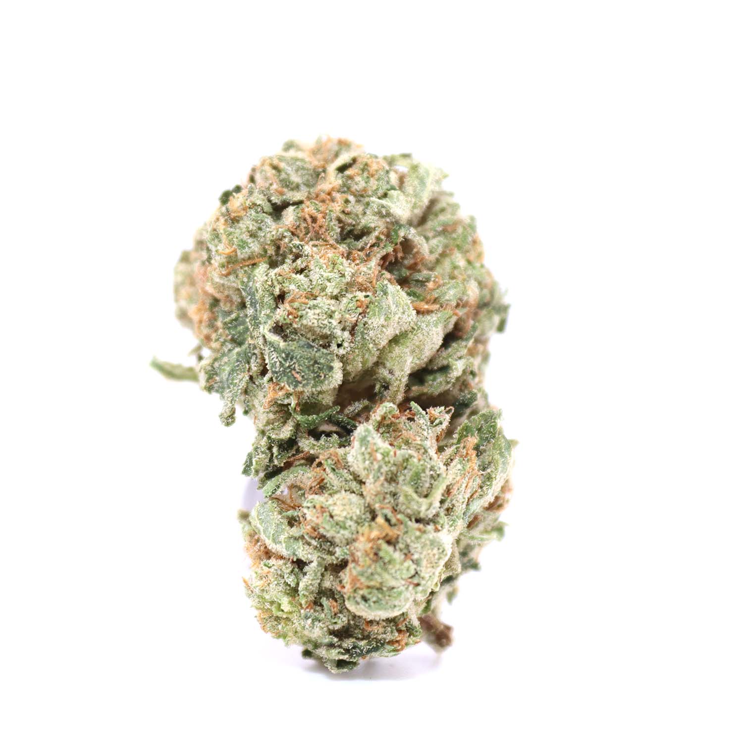 Photographie source: Bubba Kush – Indica AA – Budget