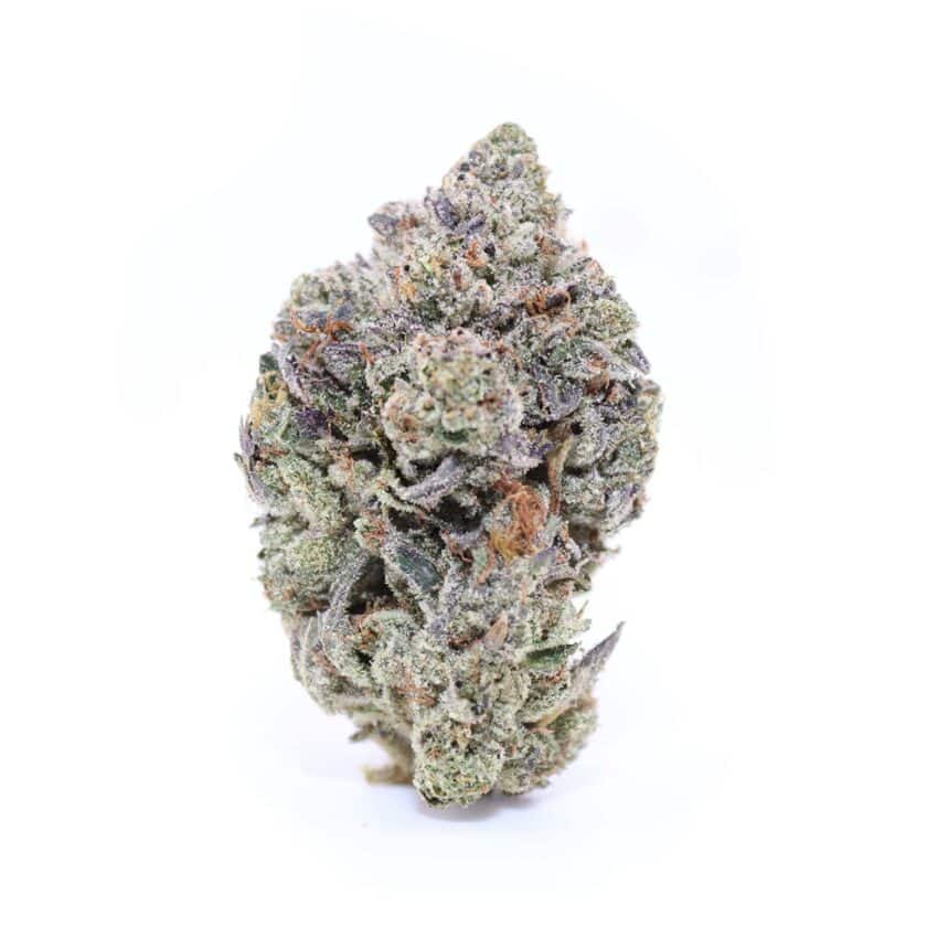 pink star buy online