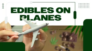 Can You Fly with Edibles Domestically in Canada?