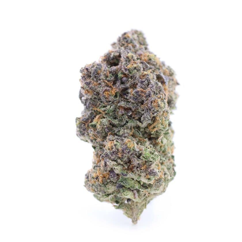 LSO Lazer Fuel strain buy online