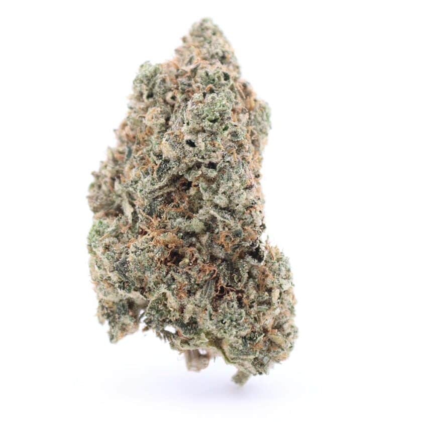 Pink Ultra Budget Buds