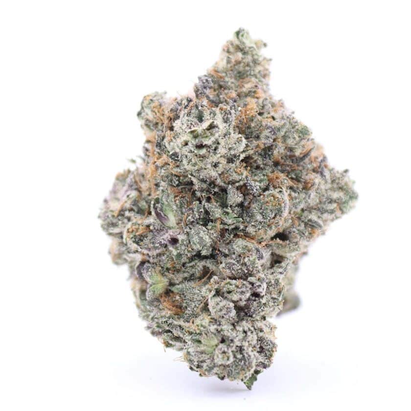 pink goo strain indica