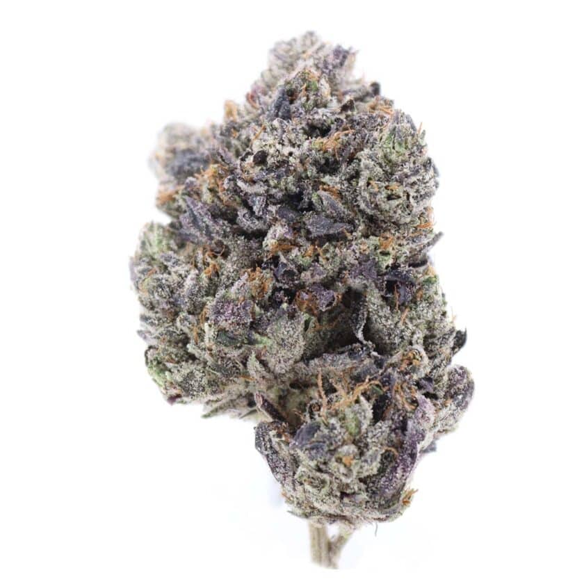 Bluefin Tuna Weed Strain