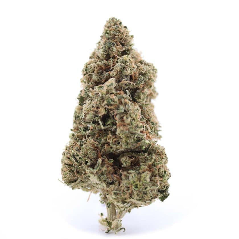 CB Dream CBD Strain Buy Online Canada