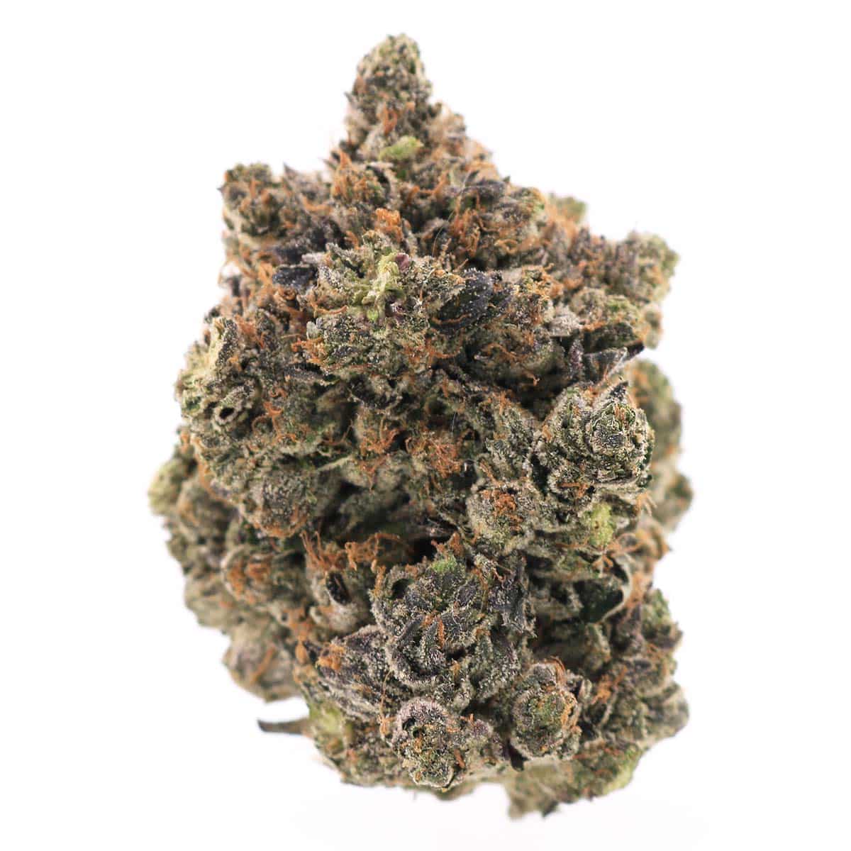 Source photograph: – Indica – AAA