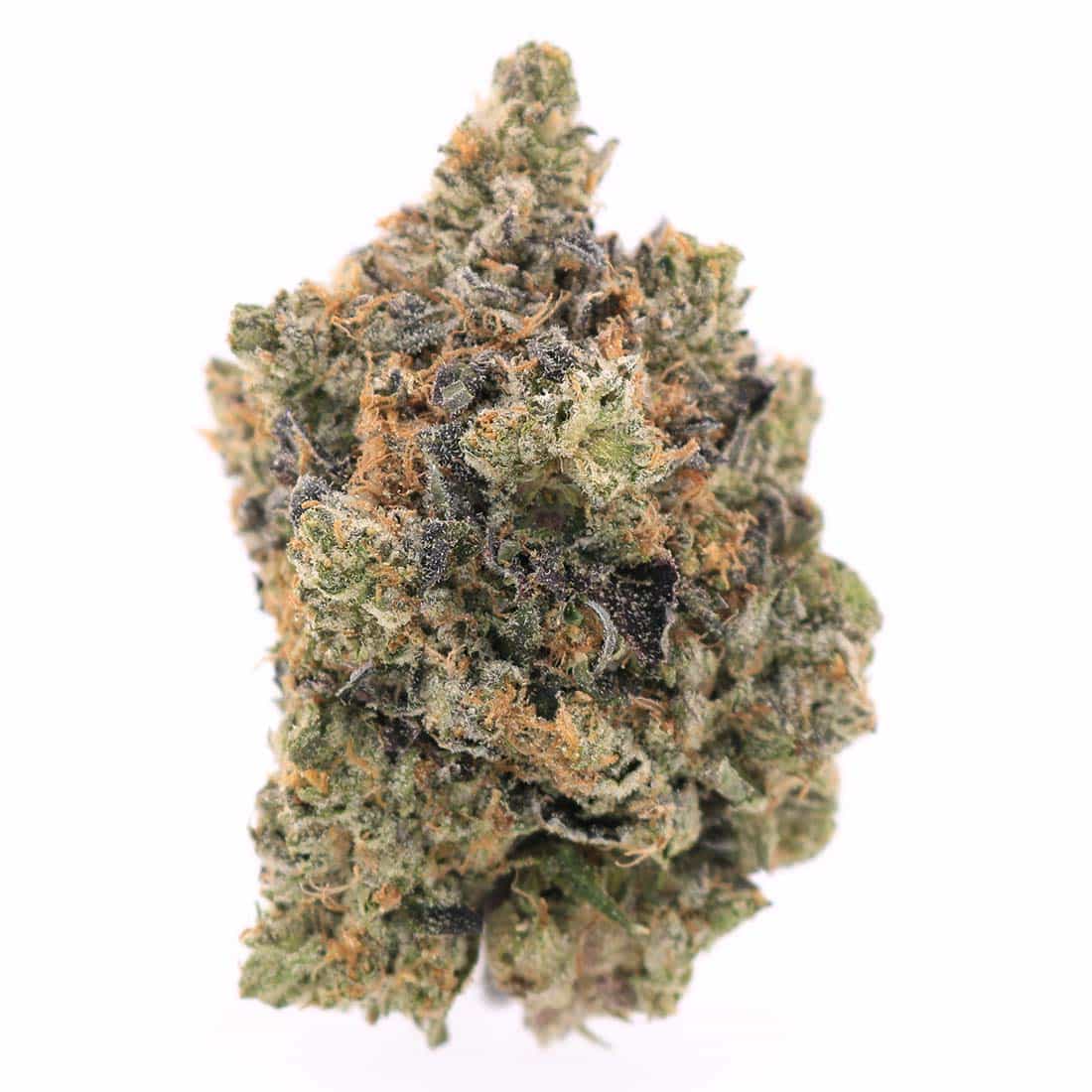 Photographie source: Bluefin Tuna – Indica Hybrid – AAA+