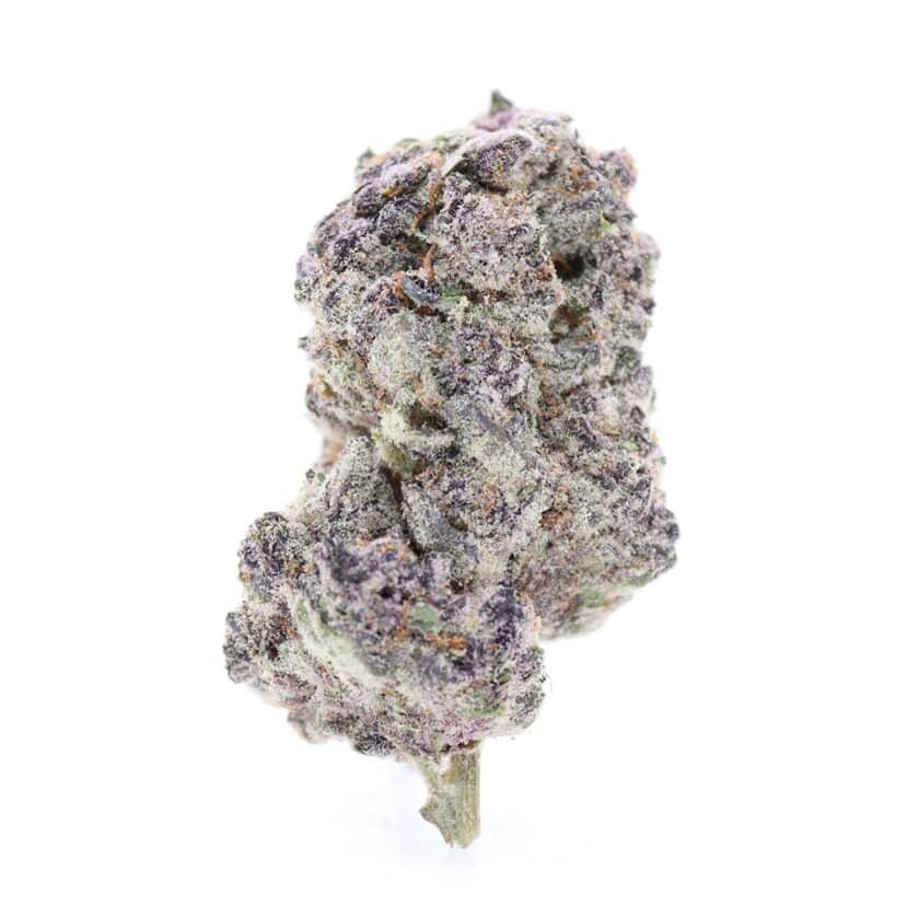Trop Cherry strain AAA Sativa buy online