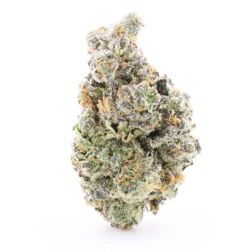 london marker strain for sale online canada