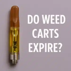 Vertical cannabis vape cartridge with golden oil beside text reading ‘Do Weed Carts Expire?’ on a lavender backdrop