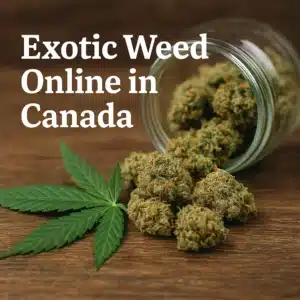 Glass jar tipped over with exotic cannabis buds and a cannabis leaf on a wooden surface.