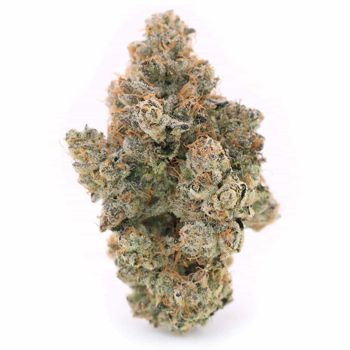 Photographie source: Space Craft – Frosted Fruit Cake – Hybrid – AAAA