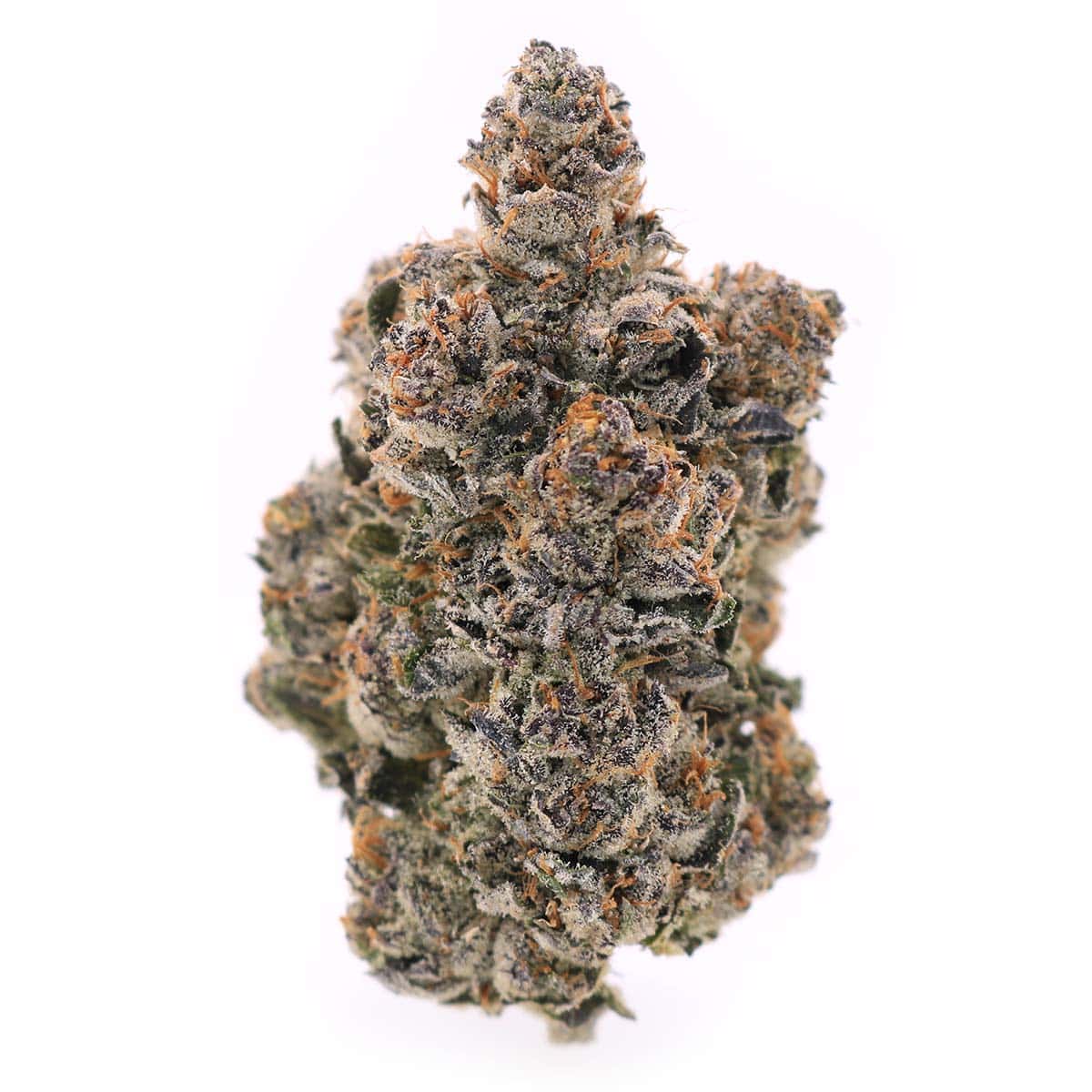 Photographie source: Space Craft – Purple Space Cookies – Indica – AAAA