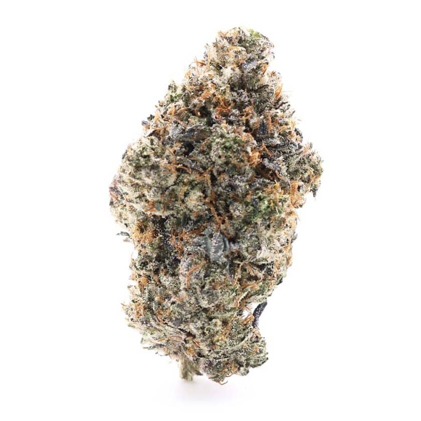 Space Craft – Supreme Rockstar Hybrid - AAAA