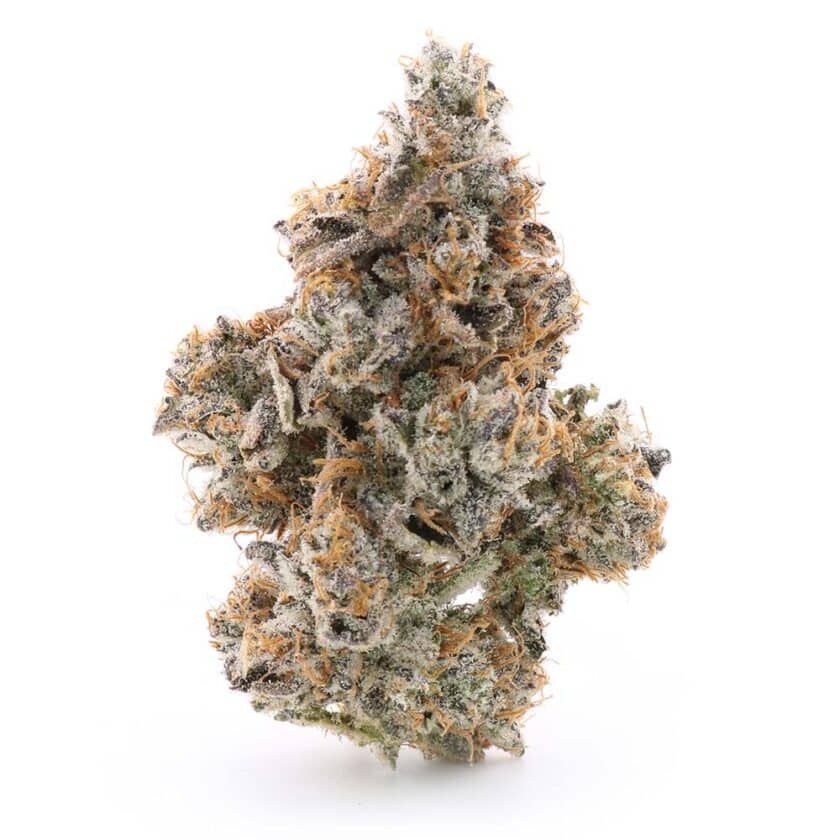 frosted fruit cake aaaa hybrid quad for sale canada
