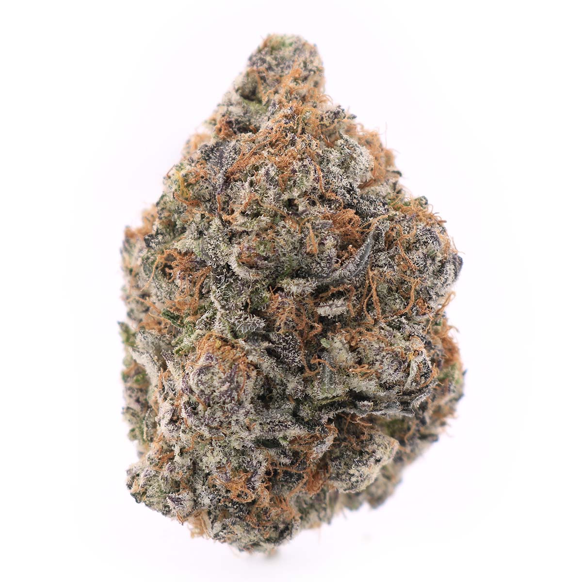 Photographie source: Blackberry Kush – Indica – AAA+