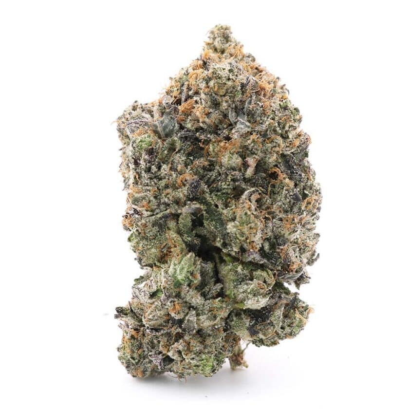 Platinum Pink Indica buy online canada