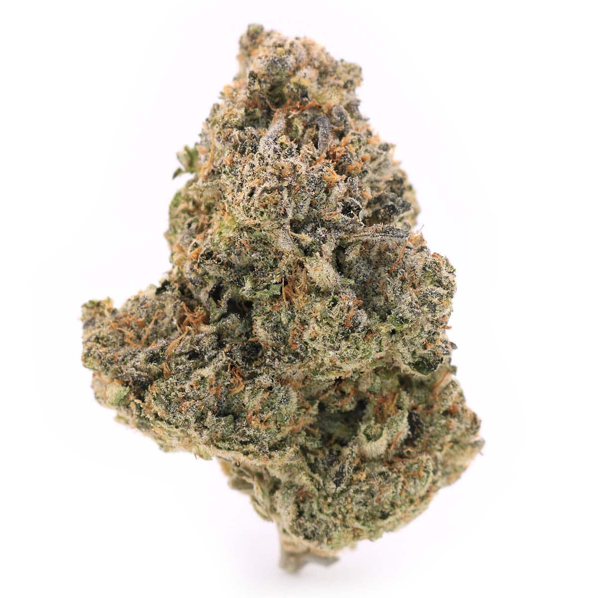Photographie source: Blackout Bobby – Indica – AAA+
