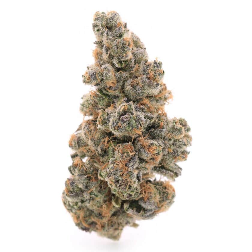 Super Buff Cherry Mediums