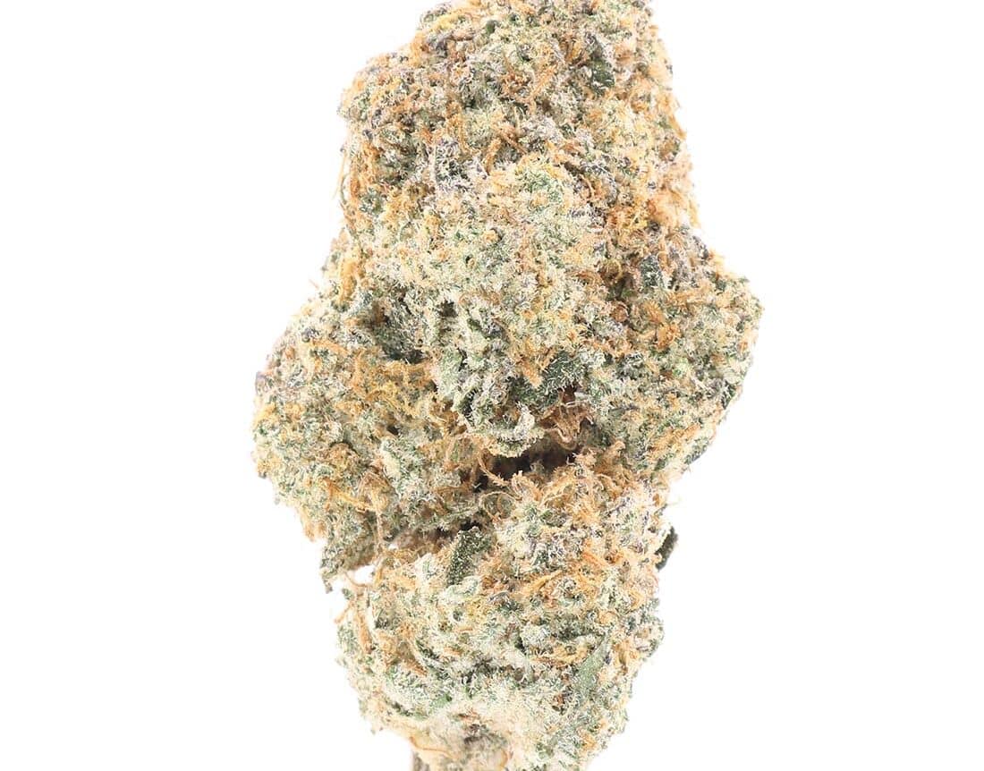 silver cheese strain for sale online canada
