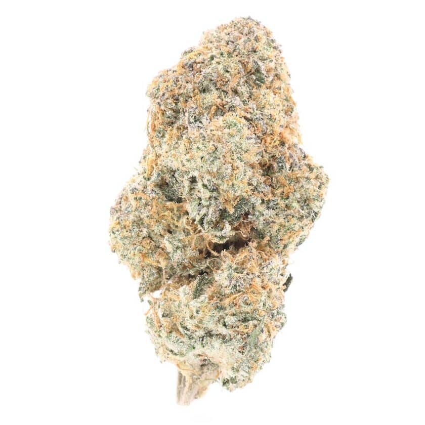 silver cheese strain for sale online canada