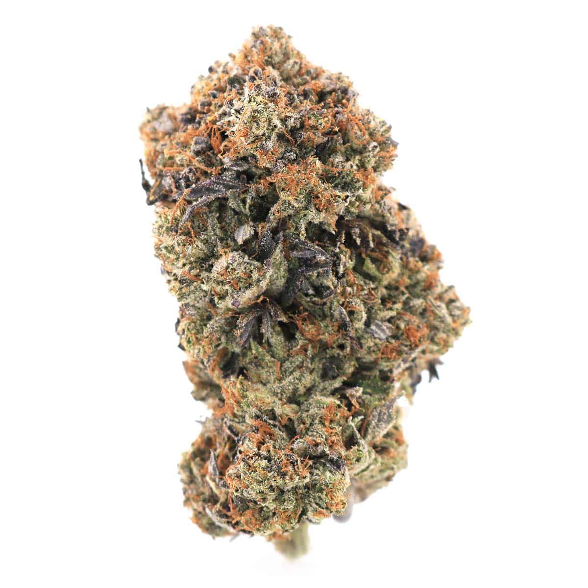 Photographie source: Rock Tuna – Hybrid Indica