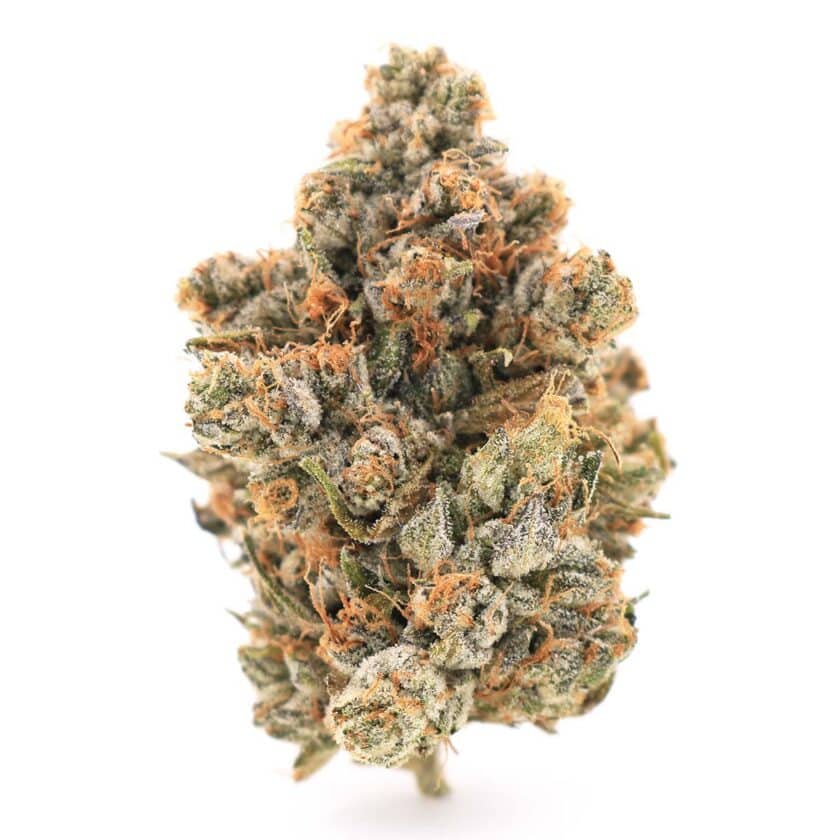 El Chapo Indica Strain