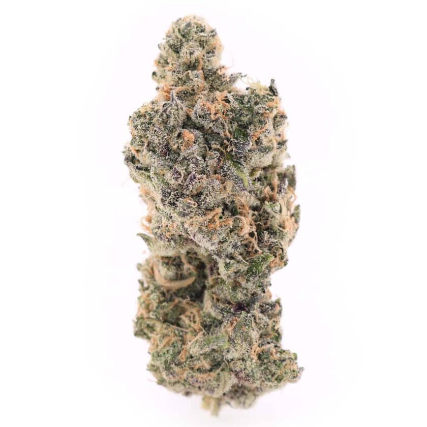 Fanatic #3 Strain main photo