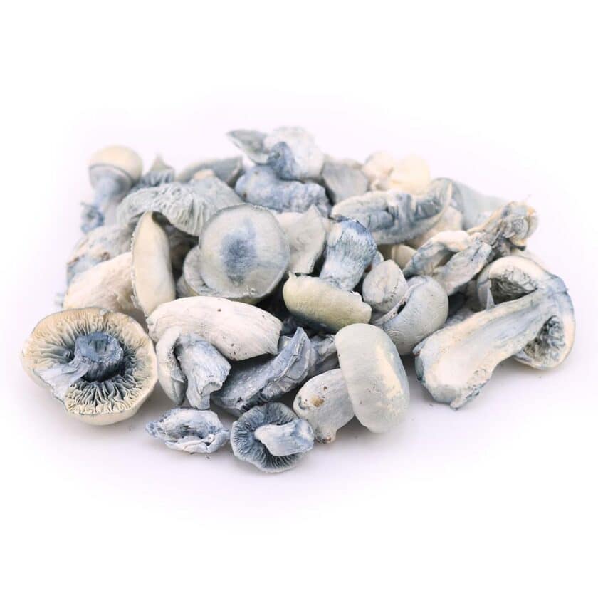 Albino Hualta Freeze Dried Mushrooms