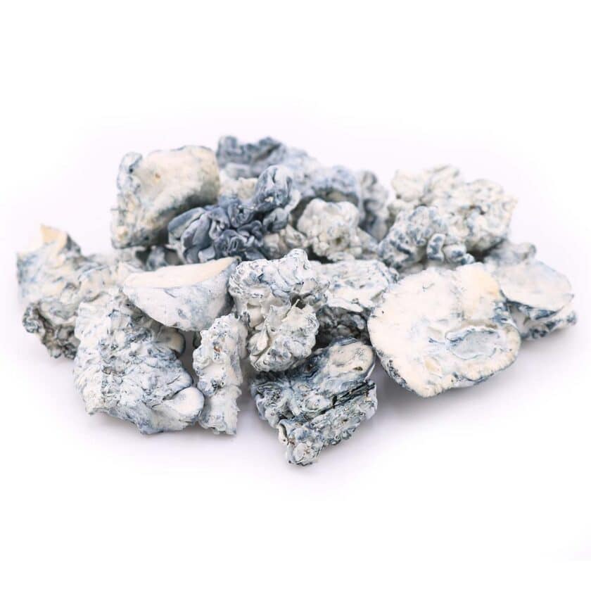 Transcendence Freeze Dried Mushrooms