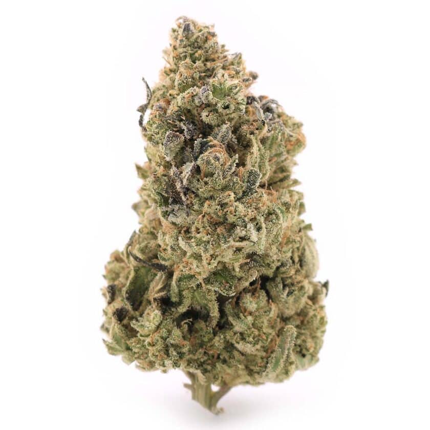 Buy Papaya Haze strain online in Canada