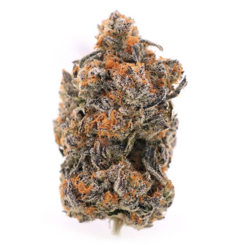 Permanent Gas Strain for sale