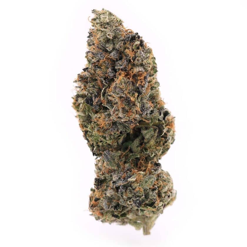 Buy Tuna Kush craft quads by Orchard Meridian