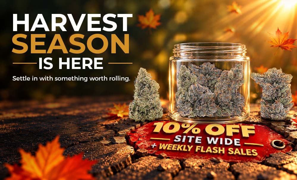 October Deals on Weed in Canada