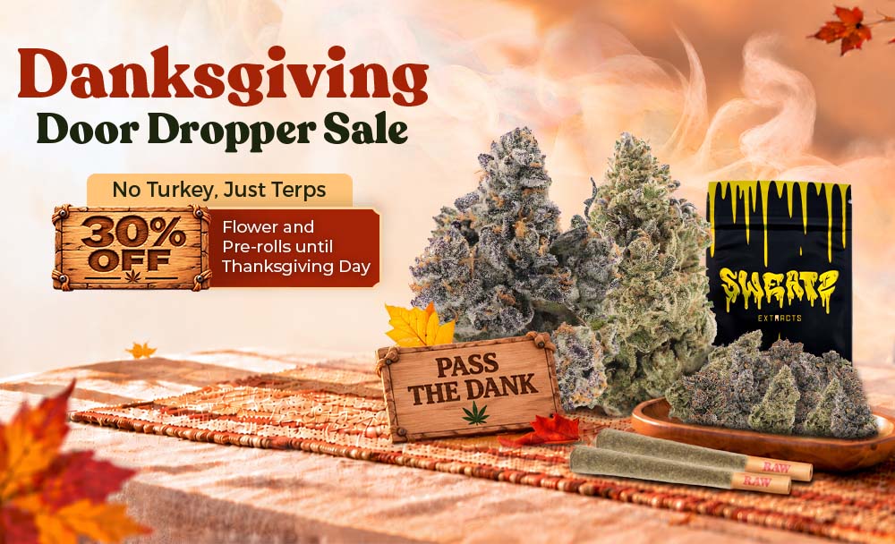 thanksgiving banner newsletter
